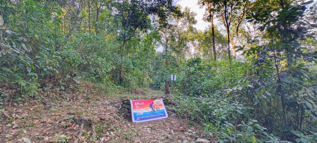 SS2- Bones and Balls