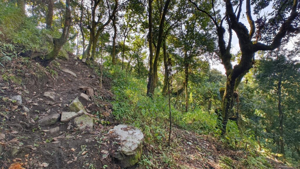 SS3 - Butterfly Trail