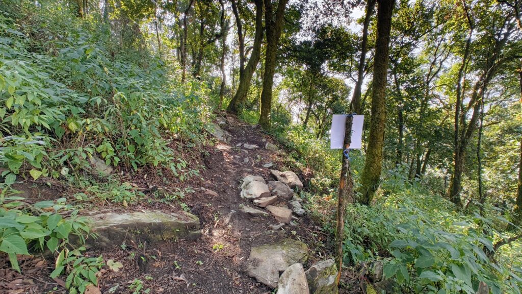 SS3 - Butterfly Trail