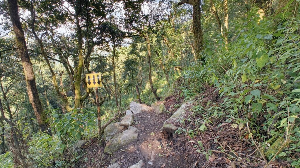 SS3 - Butterfly Trail