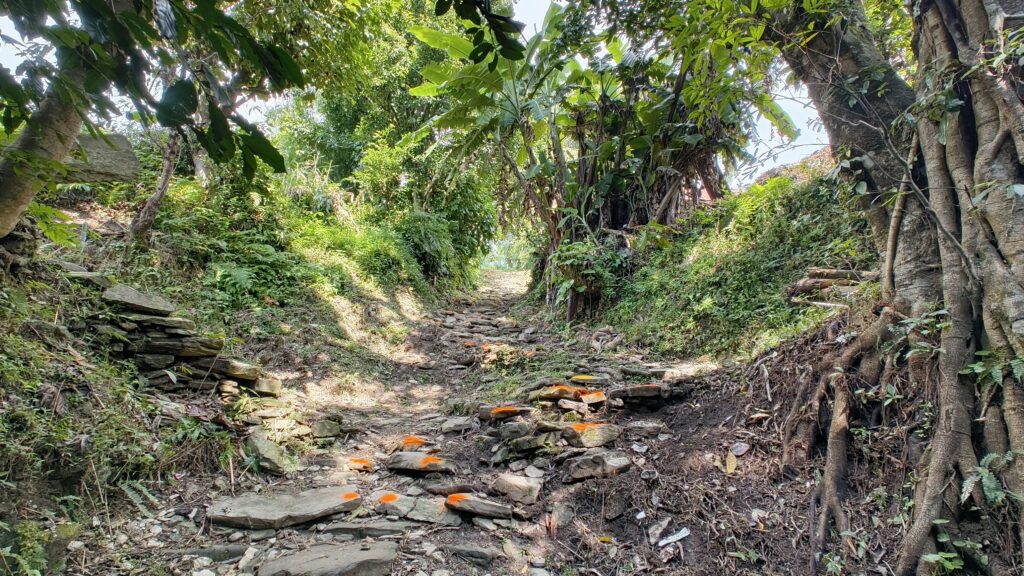 SS4 - Rock & Roll Trail